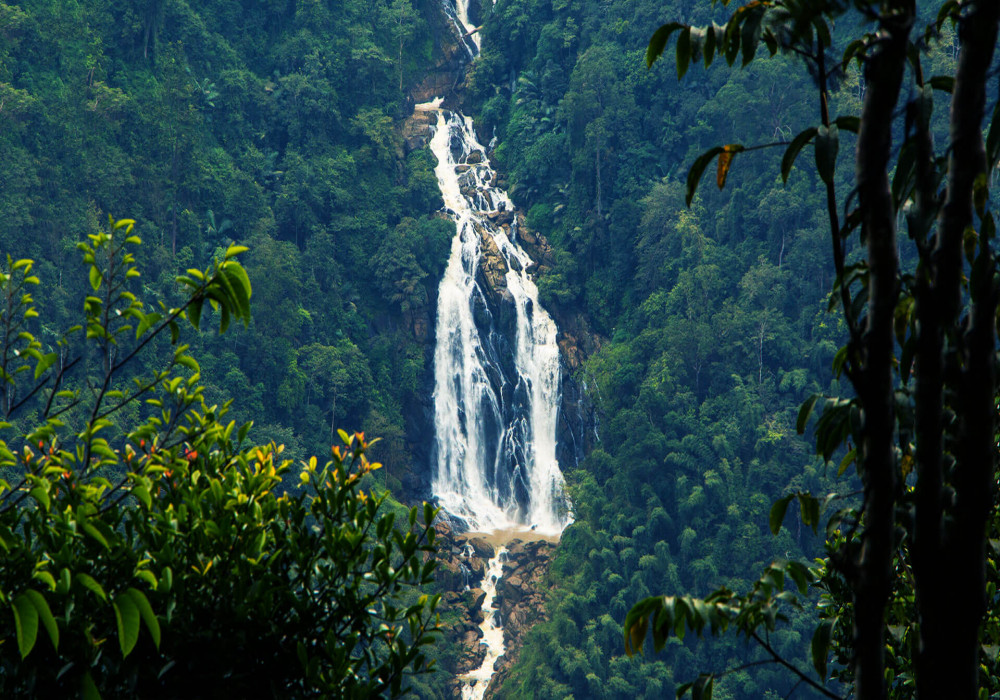 Wayanad History Sightseeing How To Reach And Best Time To Visit Adotrip